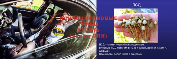 мдпв Волосово