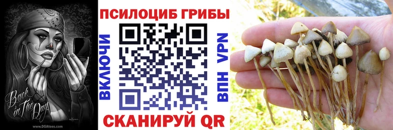 Псилоцибиновые грибы Magic Shrooms  даркнет сайт  Находка 